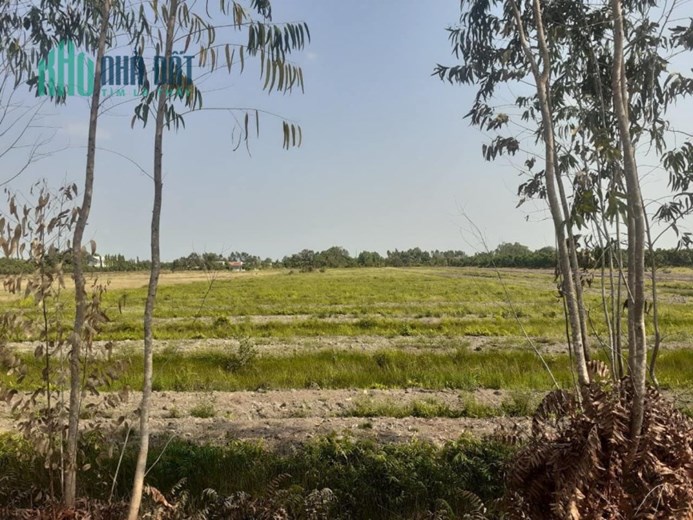 9,3công đất đường Bắc kênh 500,Tân Hoà Đông,Tân Phước,Tiền Giang