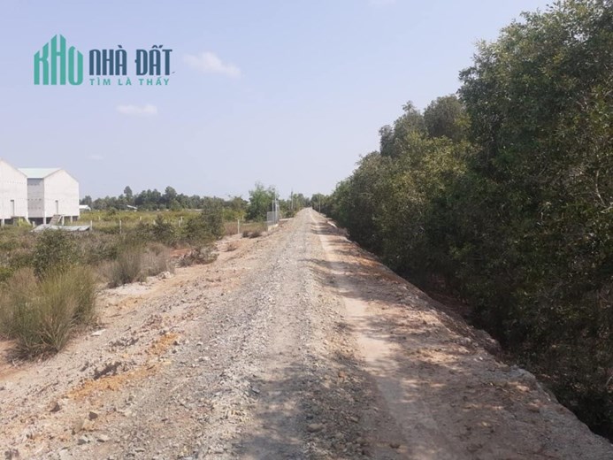 6.600m2 đất đường Tây kênh 84,Tân Hoà Đông,Tân Phước,Tiền Giang