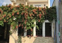 Chính chủ cần bán gấp nhà riêng, DT 8x30m, MT 8m Trịnh Thị Miếng- Thới Tam Thôn- Hóc Môn