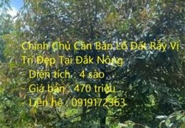 Chính Chủ Cần Bán Lô Đất Rẫy Vị Trí Đẹp Tại Đắk Nông