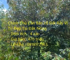 Chính Chủ Cần Bán Lô Đất Rẫy Vị Trí Đẹp Tại Đắk Nông