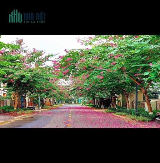 Hoàng Cầu 70m2 mặt tiền 6m- khu phân lô-oto tranh-VP-ở sướng-23 tỷ.