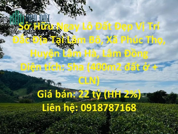 Sở Hữu Ngay Lô Đất Đẹp Vị Trí Đắc Địa Tại Lâm Bô, Xã Phúc Thọ, Huyện Lâm Hà, Lâm Đồng