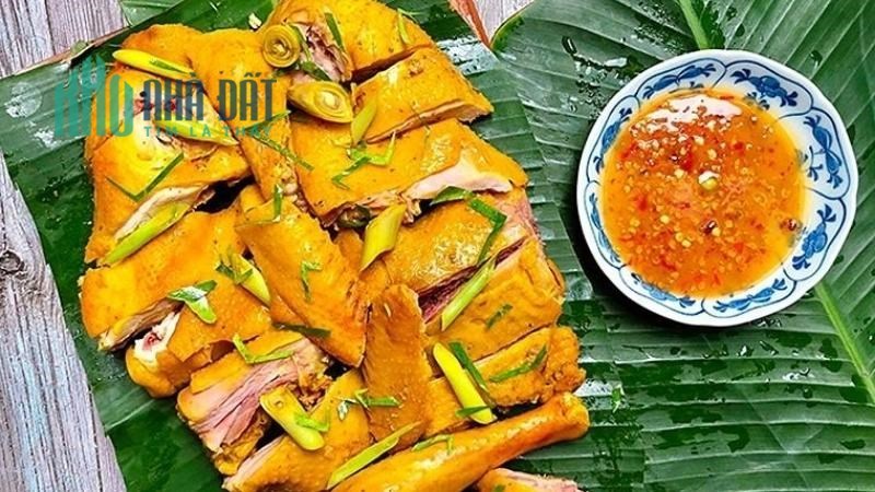 ĐỊA CHỈ BÁN SỈ LẺ GÀ Ủ MUỐI – UY TÍN – CHẤT LƯỢNG SỐ 1.