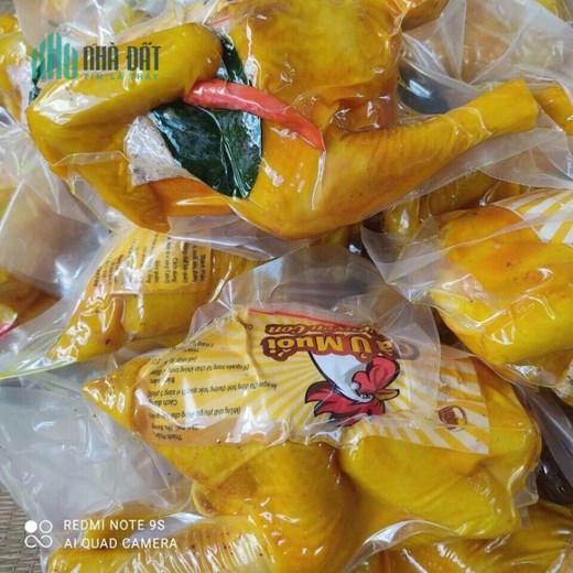 ĐỊA CHỈ BÁN SỈ LẺ GÀ Ủ MUỐI – UY TÍN – CHẤT LƯỢNG SỐ 1.