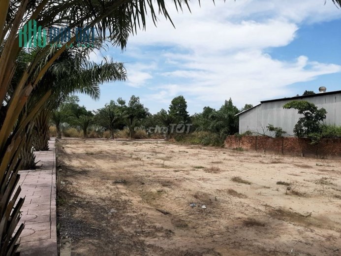 BÁN ĐẤT MẶT TIỀN ĐƯỜNG NHỰA FULL THỔ ĐƯỜNG PHÙNG HƯNG, AN VIỄN