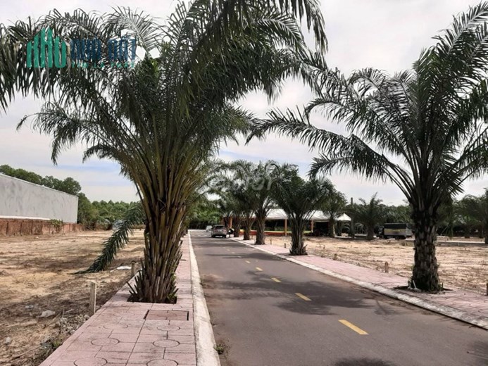 BÁN ĐẤT MẶT TIỀN ĐƯỜNG NHỰA FULL THỔ ĐƯỜNG PHÙNG HƯNG, AN VIỄN