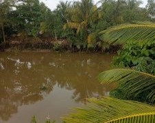 Chính Chủ Cần Bán Lô Đất Mặt Tiền Vị Trí Đẹp Tại Đồng Tháp