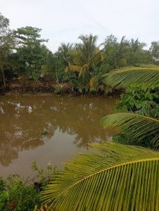 Chính Chủ Cần Bán Lô Đất Mặt Tiền Vị Trí Đẹp Tại Đồng Tháp
