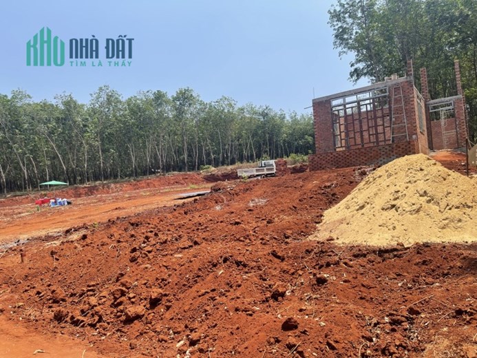 Bán cắt lỗ 100tr mảnh đất cực đẹp. 200m2 có thổ cư 100m vị trí đẹp