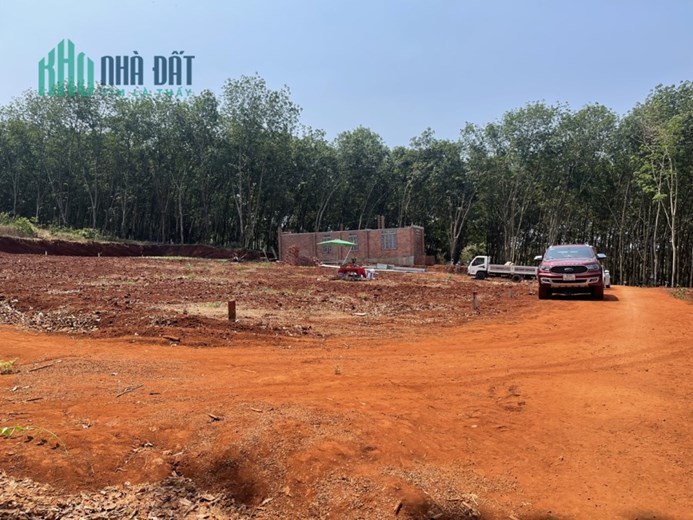 Bán cắt lỗ 100tr mảnh đất cực đẹp. 200m2 có thổ cư 100m vị trí đẹp