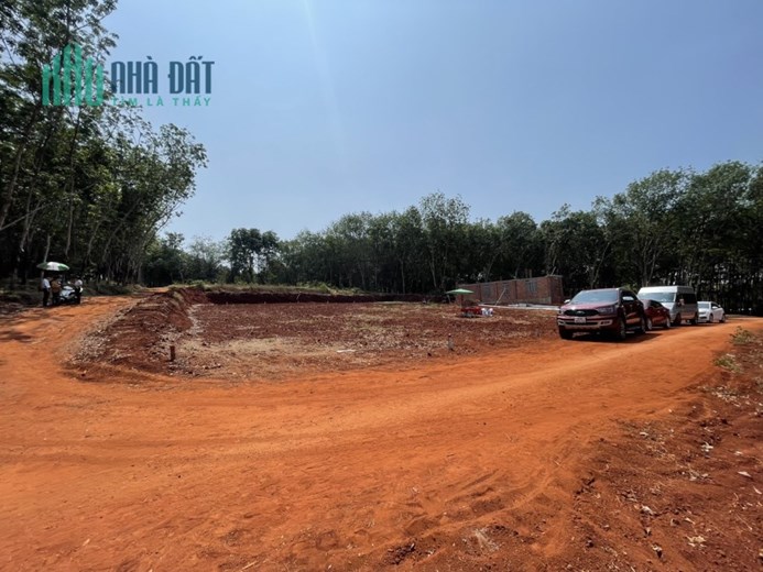 Bán cắt lỗ 100tr mảnh đất cực đẹp. 200m2 có thổ cư 100m vị trí đẹp