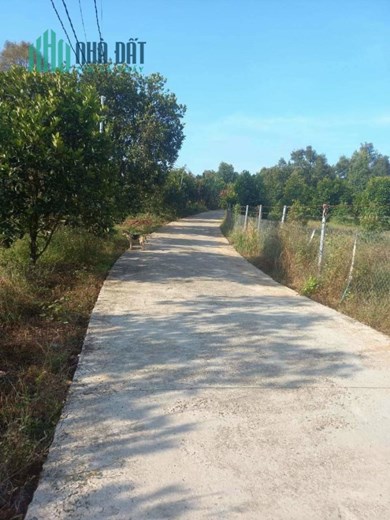 Bán khu đất QL 20, Hà Lâm, H.Đạ Huoai, Lâm Đồng: 4,5 Ha, giá 20 tỷ.