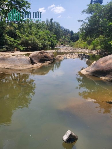 Bán khu đất QL 20, Hà Lâm, H.Đạ Huoai, Lâm Đồng: 4,5 Ha, giá 20 tỷ.