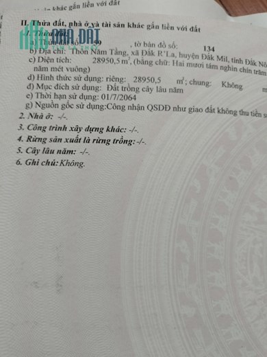CHÍNH CHỦ CẦN BÁN NHANH  40Ha Đất Rẫy Tại Thôn Năm Tầng, Xã Đắk R’La, Đắk Mil, Đắk Nông