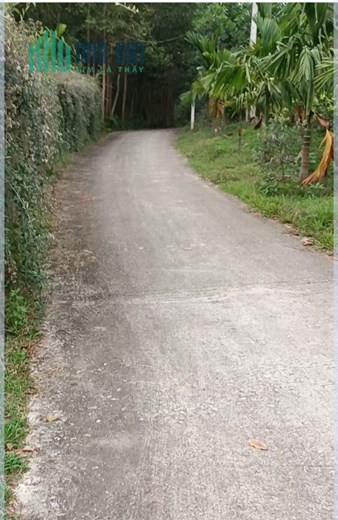 CHÍNH CHỦ : CẦN BÁN KHU ĐẤT NGHỈ DƯỠNG TẠI XÃ TÂN KIM HUYỆN PHÚ BÌNH - THÁI NGUYÊN DIỆN TÍCH GẦN
