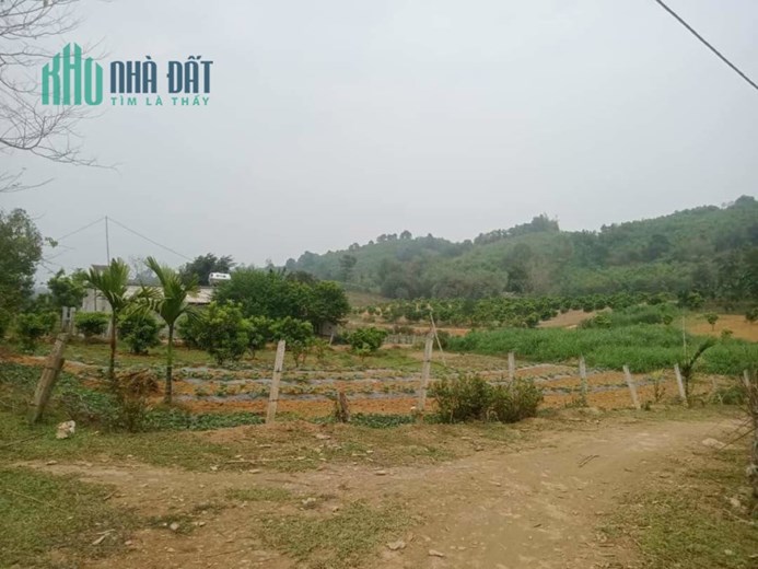 BẠN GỬI BÁN GẤP MẢNH ĐẤT LÔ GÓC SIÊU ĐẸP LẠC SƠN HOÀ BÌNH - 0913032481