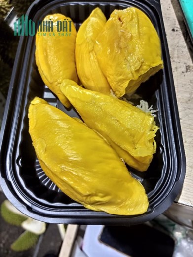 HOT HOT HOT SẦU RIÊNG - TRÁI CÂY CỰC NGON