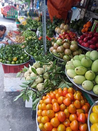 HOT HOT HOT SẦU RIÊNG - TRÁI CÂY CỰC NGON