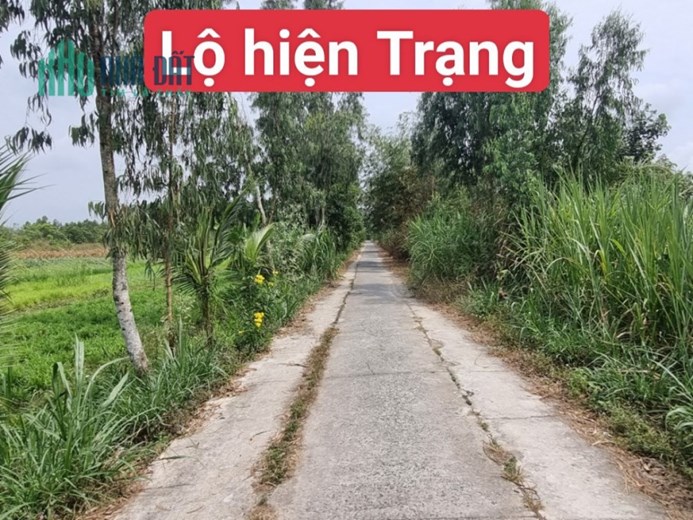 BÁN GẤP đất vị trí đẹp tại xã Mỹ Hòa, Bình Minh, Vĩnh Long