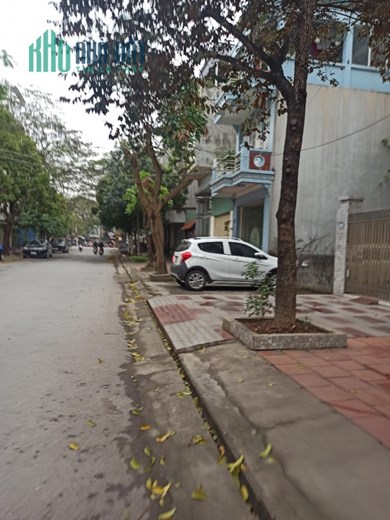 Bán đất mặt đường Nguyễn Tất Tố - Quán Nam kinh doanh cực đẹp, 88m GIÁ 7.1 tỉ