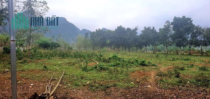 CHÍNH CHỦ BÁN LÔ ĐẤT FULL THỔ GẦN SÔNG BÔI GẦN KHU CẮM TRẠI CAMPING NAM HẠ