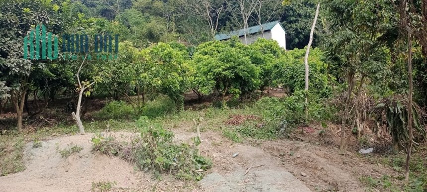 CỰC PHẨM VIEW NÚI TRONG LÀNG KHOÁNG NÓNG KIM BÔI-XÓM DẠNH