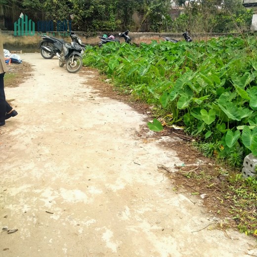 Chính chủ bán đất tại xóm2, Chương Dương, Thường tín 66m, MT 7m, giá 960 tr