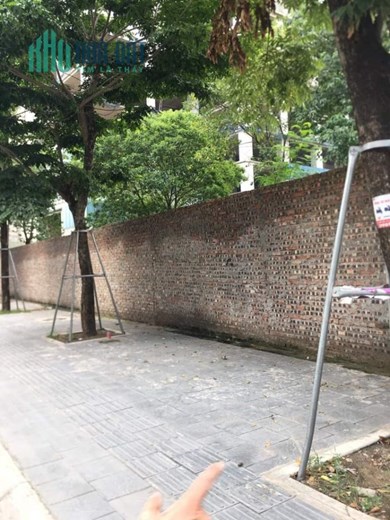Mảnh đât Kim Cương mặt phố Lê Đức Thọ, Nam Từ Liêm, 4500m đất, MT rộng 48 m, giá 26tỷ.