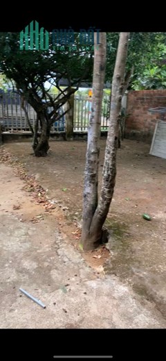 Cho thuê nhà riêng ở Đào Duy Từ, Phường Lộc Phát, Bảo Lộc, Lâm Đồng