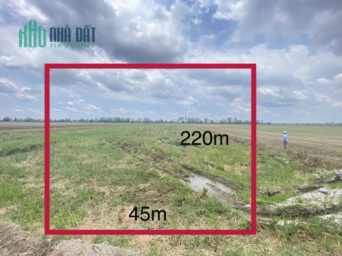BÁN 9798,2M2 ĐẤT TẠI ĐỊNH THÀNH, SHR, GIÁ CHỈ 120TR/CÔNG. LH:0964709660, 0837801160