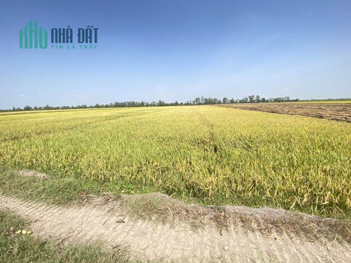BÁN 9798,2M2 ĐẤT TẠI ĐỊNH THÀNH, SHR, GIÁ CHỈ 120TR/CÔNG. LH:0964709660, 0837801160