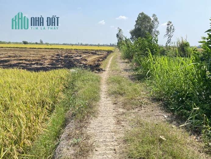BÁN 9798,2M2 ĐẤT TẠI ĐỊNH THÀNH, SHR, GIÁ CHỈ 120TR/CÔNG. LH:0964709660, 0837801160
