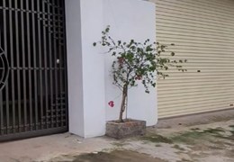 Chính chủ cần cho thuê nhanh căn nhà 2 tầng thuộc Khu 3 - xã Bình Phú - cạnh  chợ Xốm - Hùng Lô  -