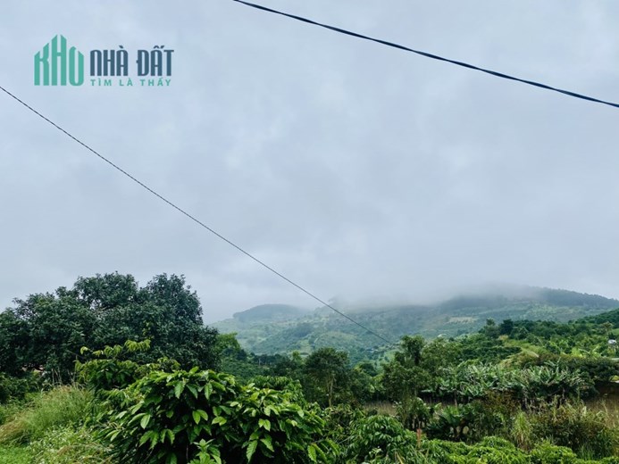SIÊU PHẨM 2 MẶT TIỀN 100M2, ÔM SUỐI CỰC ĐẸP, SHR.