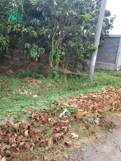 Để Sở Hữu Lô Đất Vị Trí Đẹp Giá Rẻ Tp Cao Lãnh.
