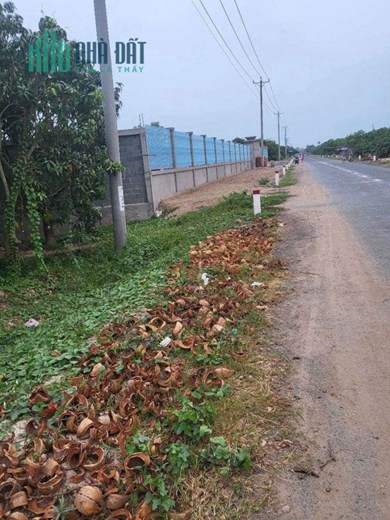 Để Sở Hữu Lô Đất Vị Trí Đẹp Giá Rẻ Tp Cao Lãnh.