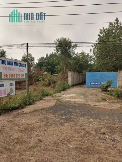Cho thuê nhà xưởng Bình Phước dài hạn giá rẻ chính chủ