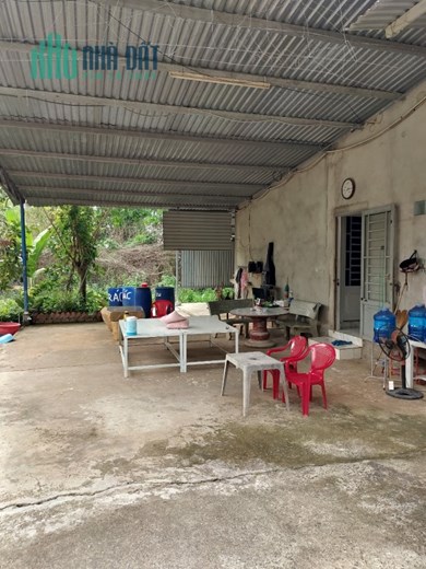 Cho thuê nhà xưởng Bình Phước dài hạn giá rẻ chính chủ