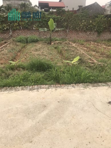 Bán các lô đất phân lô Xuân Nộn, Đông Anh, ô tô vào đất, hơn 10m ra đường ô tô tránh.