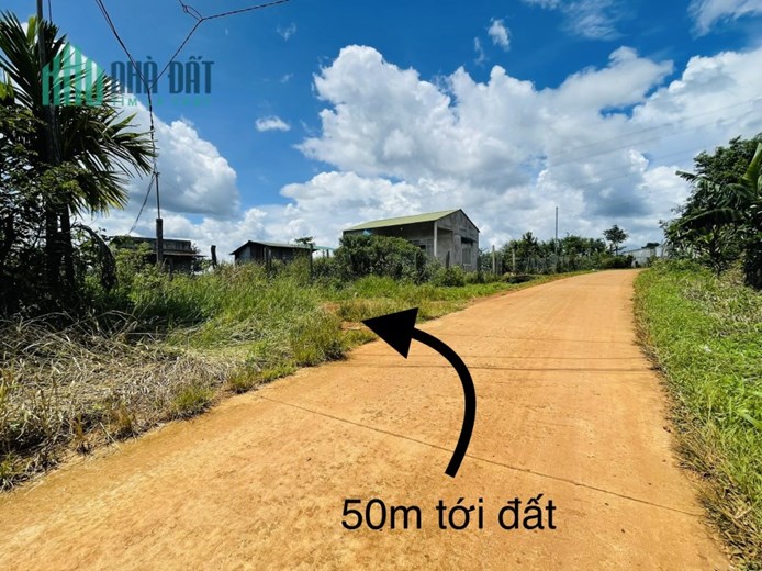 ĐẤT NỀN THÍCH HỢP ĐẦU TƯ SINH LỢI NHUẬN X2X3, SHR