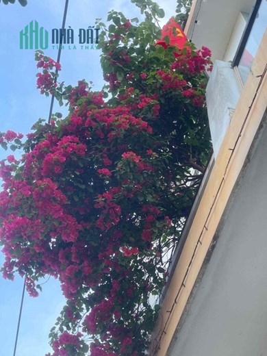 CHÍNH CHỦ BÁN NHÀ SỔ RIÊNG GIÁ RẺ TRUNG TÂM LONG HẢI-BRVT