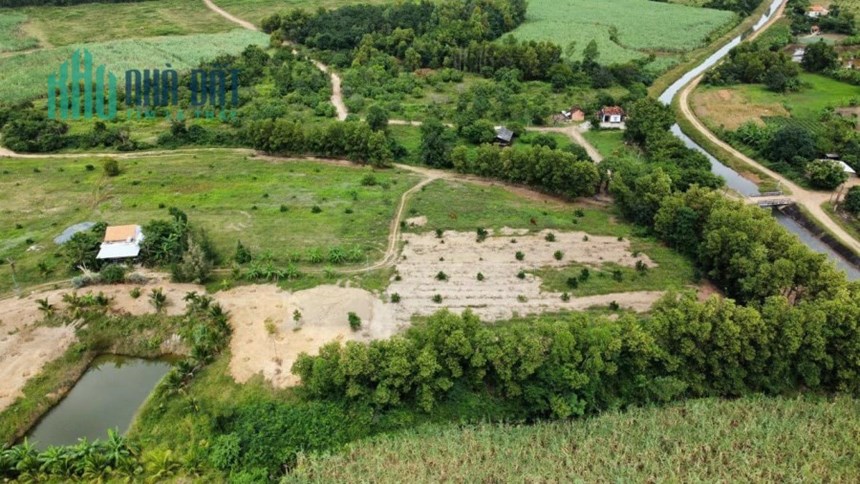 Bán Đất Diện Tích Lớn Ninh Sơn Ninh Hòa Khánh Hòa Thích Hợp Làm Dự án Trang Trại