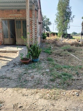 BÁN GẤP LÔ ĐẤT ĐẸP TẠI TÂN PHÚ, ĐỨC HÒA