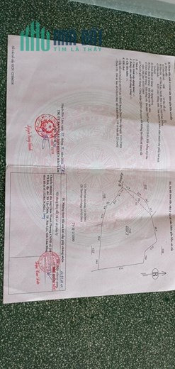 Sở Hữu Ngay Lô Đất Đẹp Vị Trí Đắc Địa Tại Thôn 1, Xã Tân Lạc, Huyện Bảo Lâm, Lâm Đồng