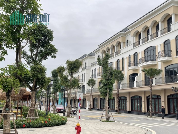 Độc quyền liền kề, shophouse, song lập giá siêu tốt chưa từng có tại Vinhomes Ocean Park 2