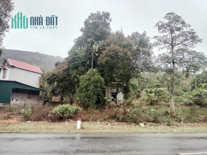 Cần thanh khoản lô đất mặt đường QL6, xóm Tân Lập, xã Mông Hóa. Tp Hòa Bình