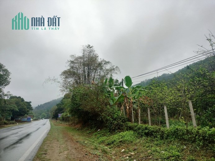 Cần thanh khoản lô đất mặt đường QL6, xóm Tân Lập, xã Mông Hóa. Tp Hòa Bình