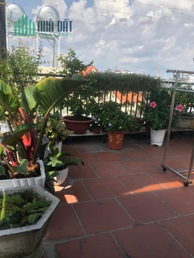 Cần Bán Gấp Nhà Trần Trong Cung Quận 7. DT 40M. 5 Tầng BTCT Kiên Cố. Giá 5 Tỷ Nhỉnh Thương Lượng