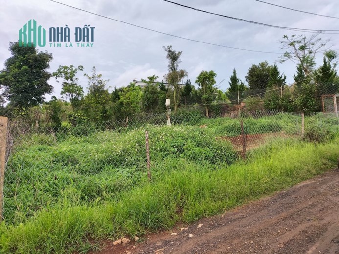 Sở Hữu Ngay Lô Đất Vị Trí Đắc Địa Tại Xã Phú Hội Huyện Đức Trọng,  Lâm Đồng